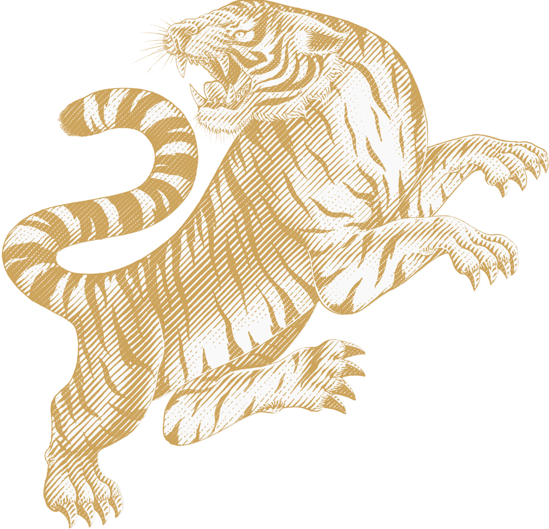 popup-tiger